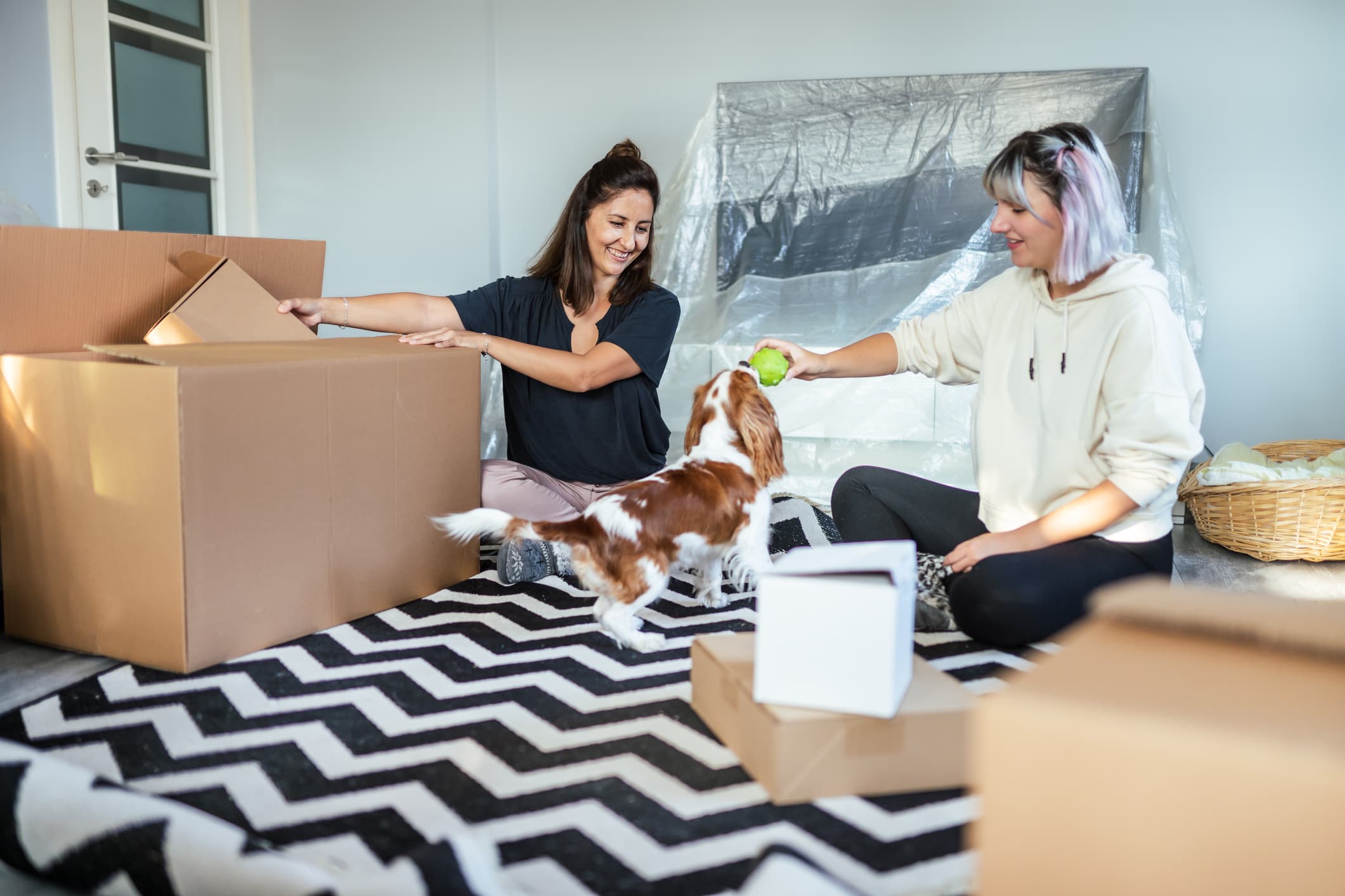 Two renters unpacking boxes and playing with their dog in a new apartment, illustrating coverage for pet owners — American Family renters insurance review.