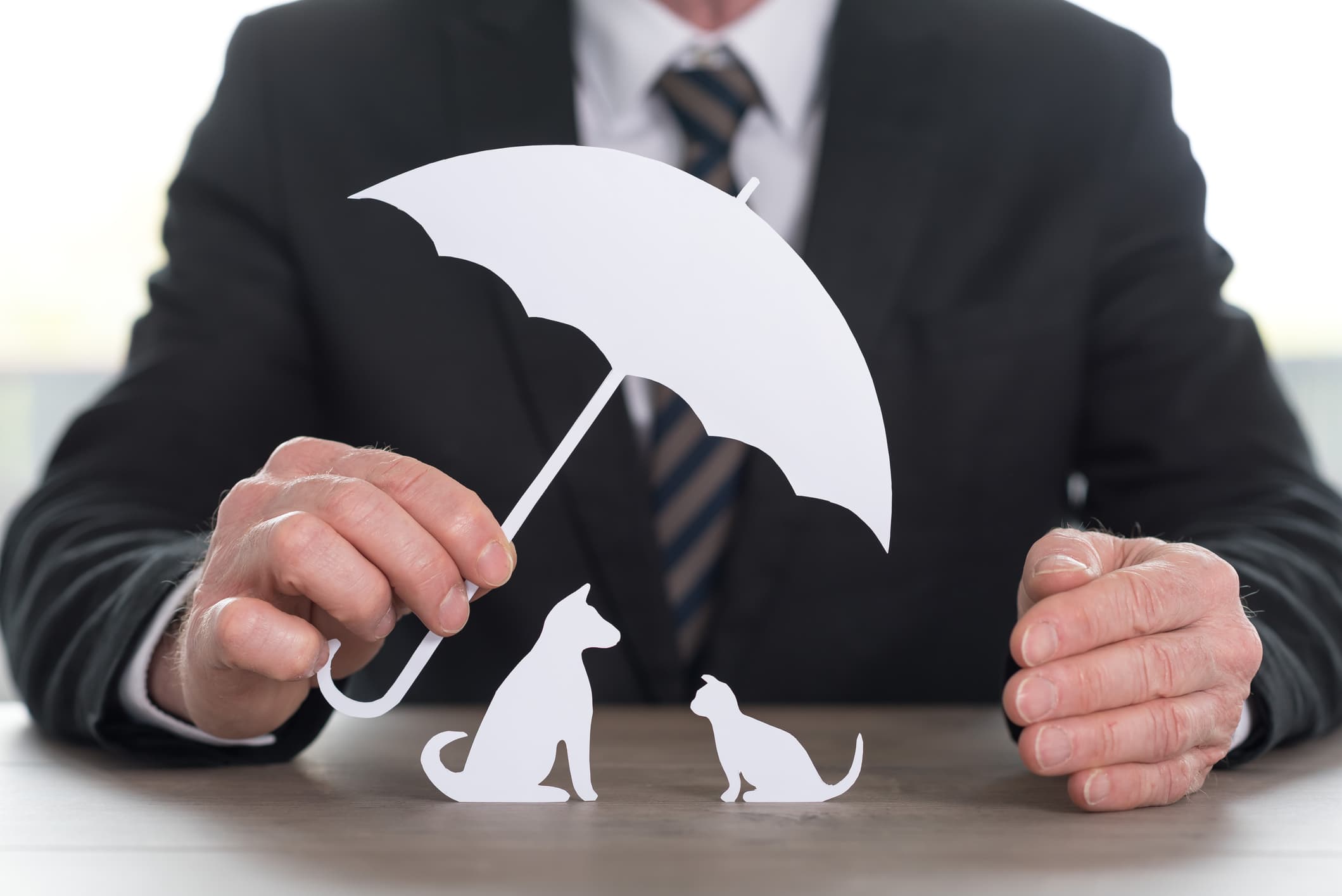 Businessperson holding a paper umbrella over cutout silhouettes of a dog and cat, symbolizing protection and the best pet insurance coverage.