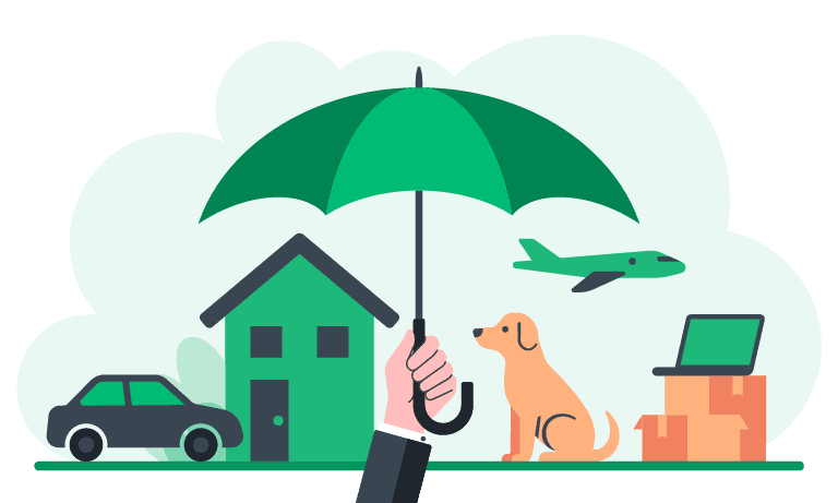 Best Insurance Providers