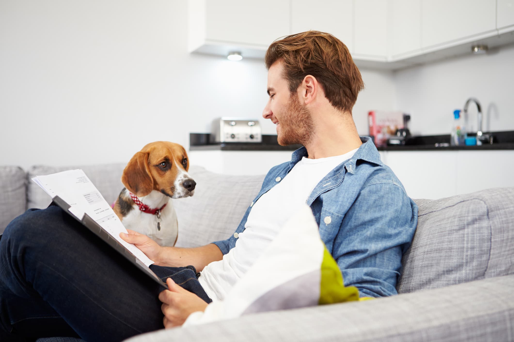 Nationwide renters insurance reviews — renter sitting on sofa with dog, reviewing insurance documents in a pet-friendly apartment.