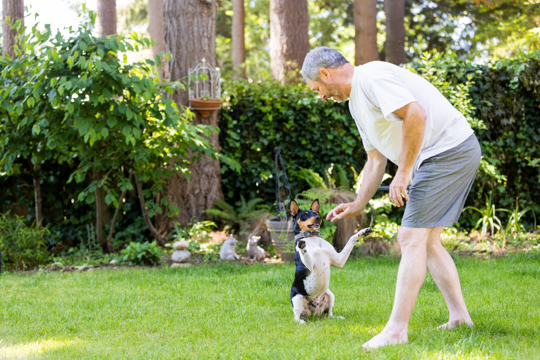 Owner using one of the best dog e-collars to reinforce obedience training with a dog during an outdoor training session.