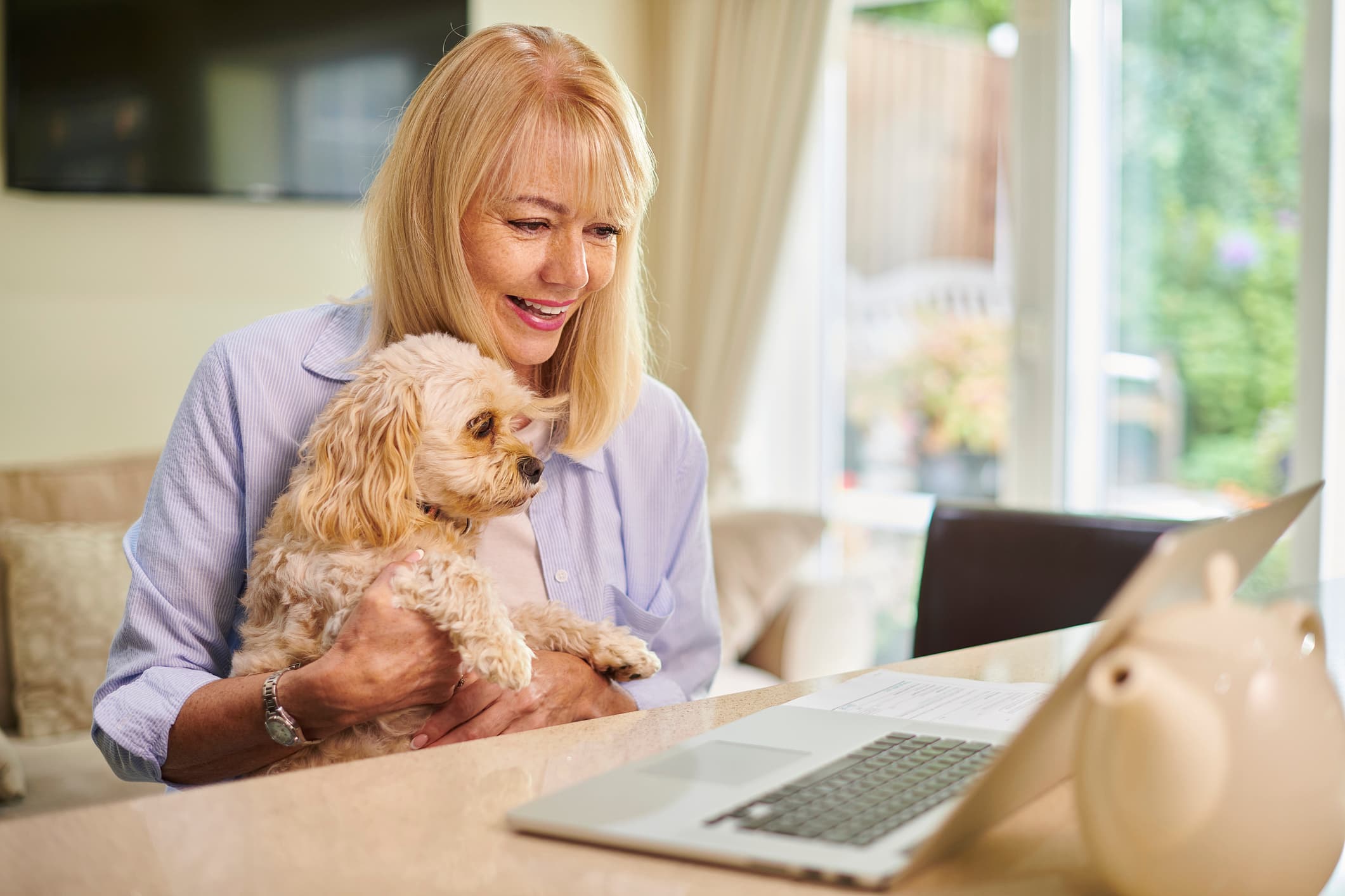 Fetch Vs. Lemonade Pet Insurance