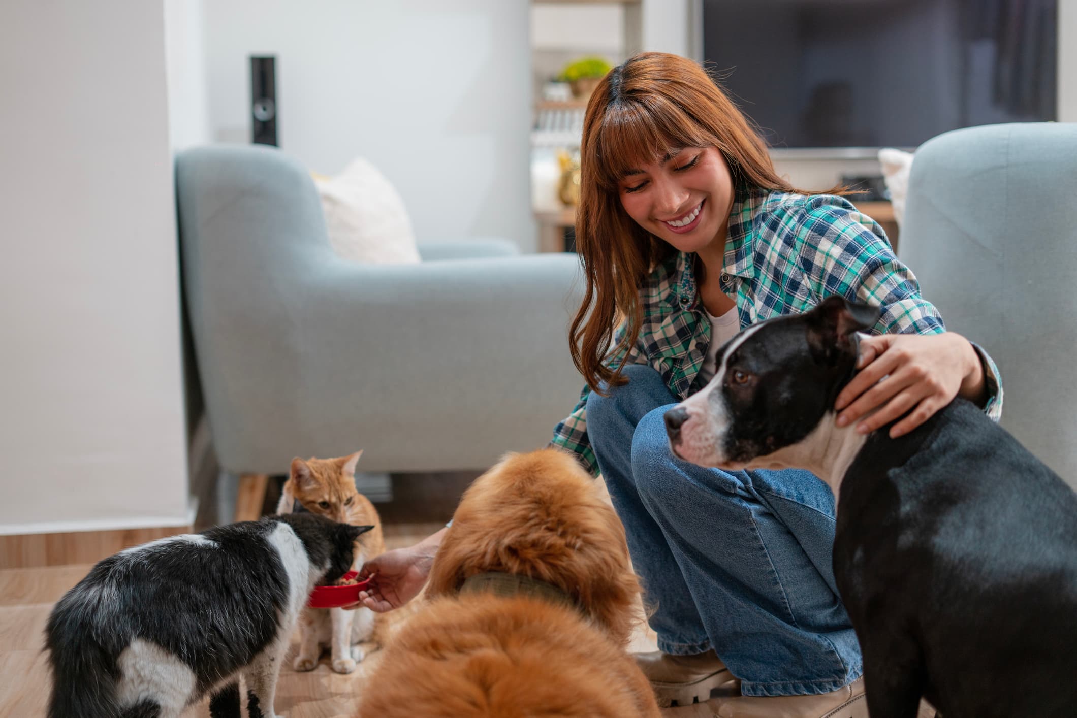 A woman sitting in her living room surrounded by dogs and cats, symbolizing the best renters insurance for pet owners and pet liability coverage.