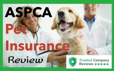 ASPCA Pet Insurance Review