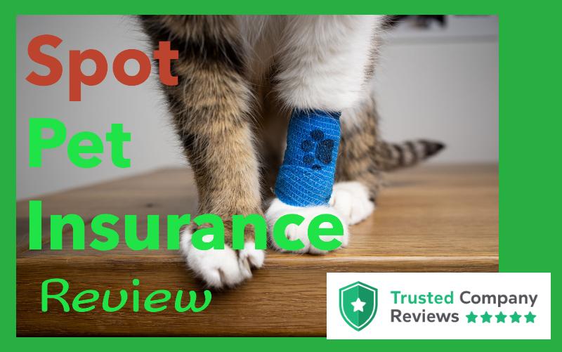 Spot Pet Insurance Review 2024: Unlimited Coverage Available