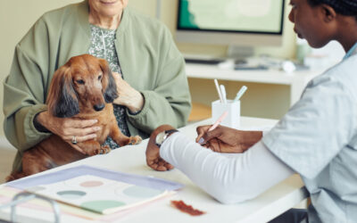 Spot Pet Insurance Review