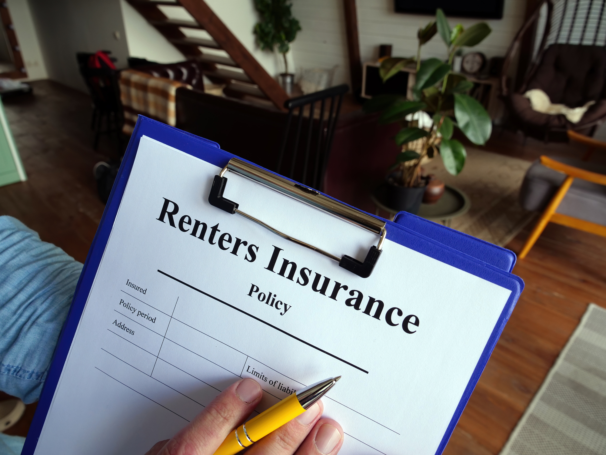 Holding a renters insurance policy in a cozy apartment—thinking about Amica renters insurance?