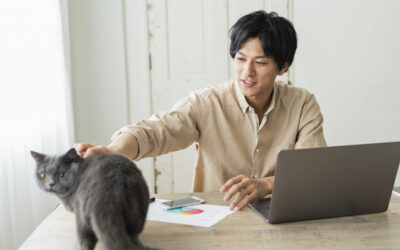 Lemonade Vs Embrace Pet Insurance – Which Is Best?