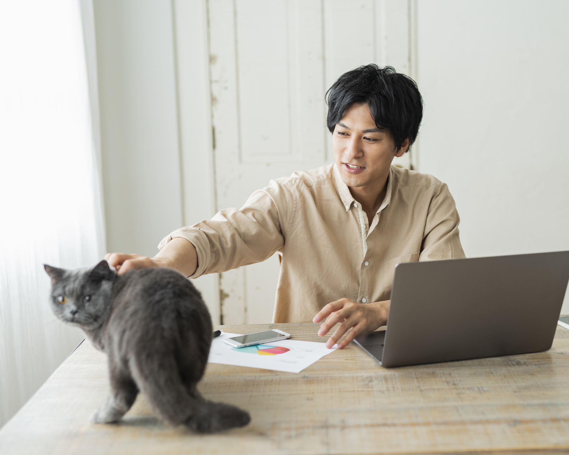 Man petting cat while researching Lemonade vs Embrace pet insurance on laptop at home