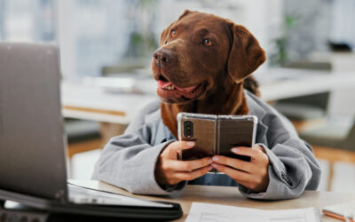 Is Pet Insurance Worth It? Here’s the Latest Info