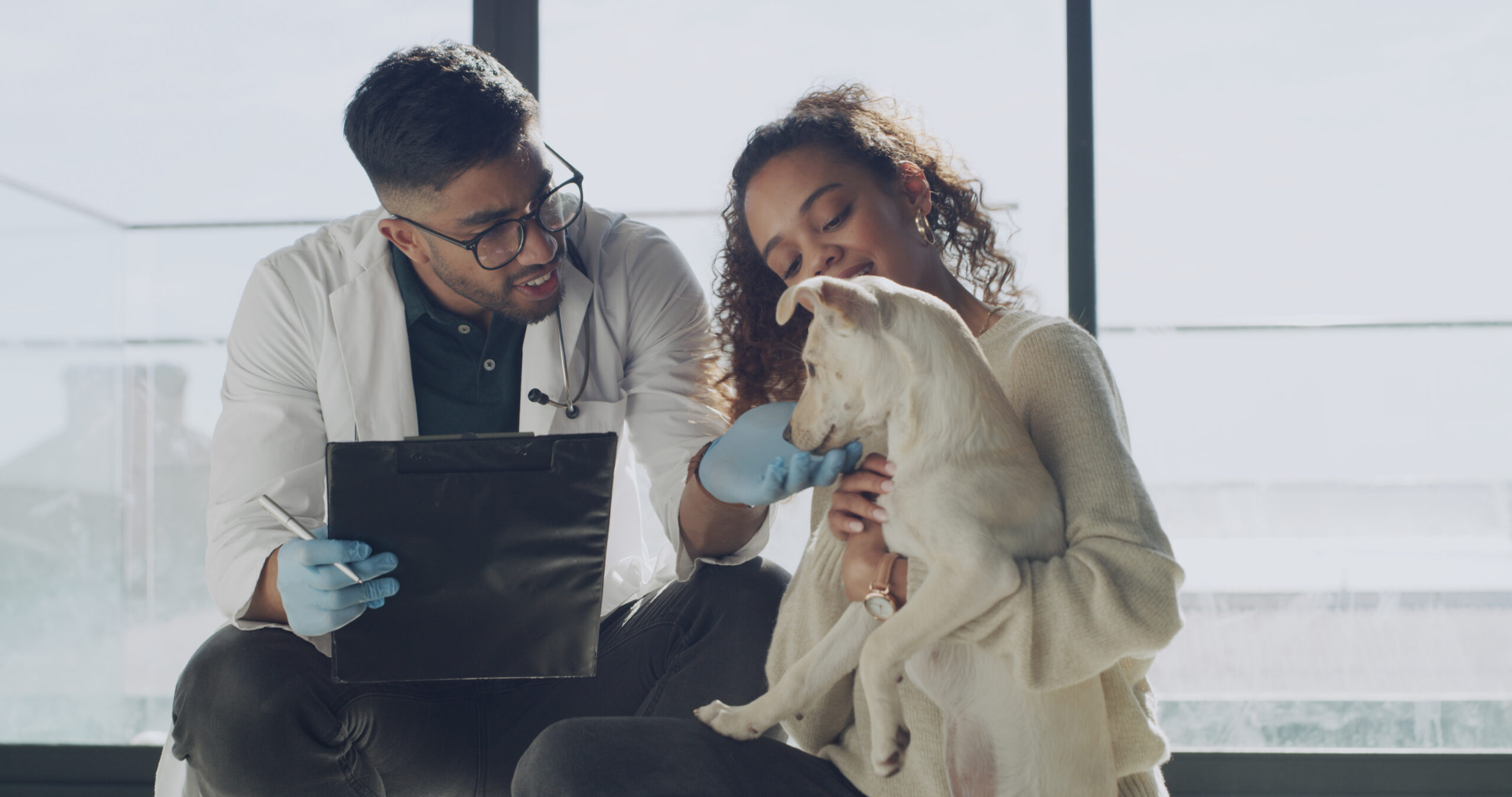 Veterinarian and pet owner reviewing Wisdom Panel canine DNA test results