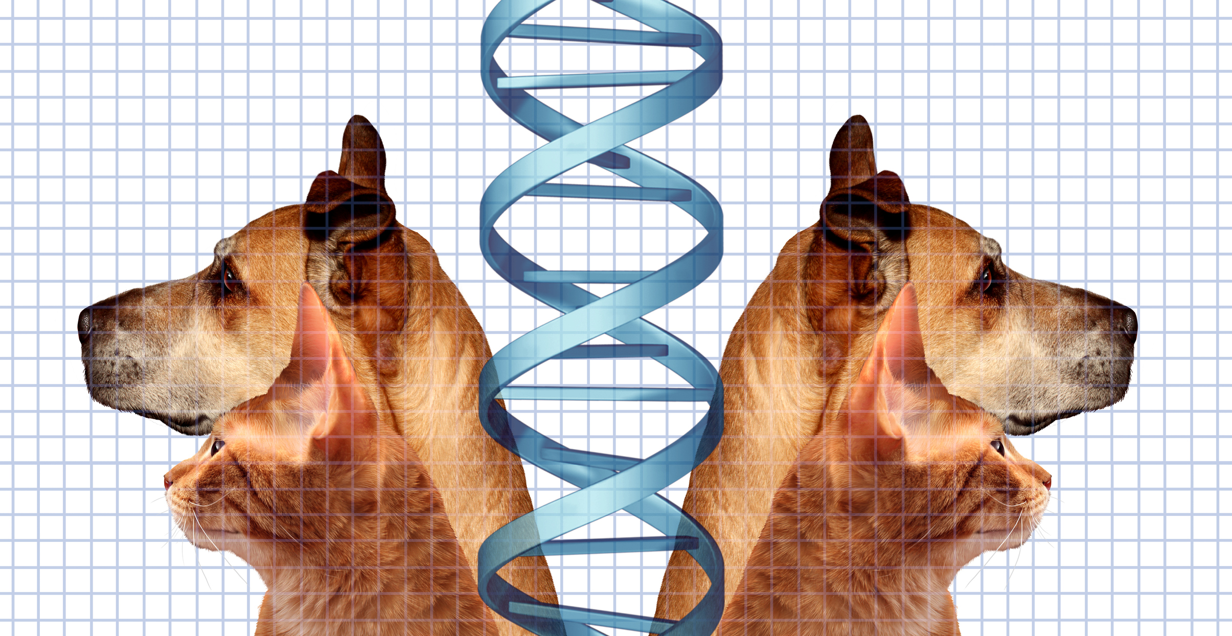 Blog Cover