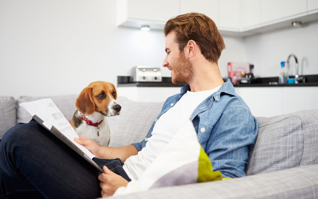 Nationwide renters insurance reviews — renter sitting on sofa with dog, reviewing insurance documents in a pet-friendly apartment.