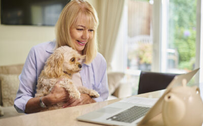 Fetch Vs. Lemonade Pet Insurance