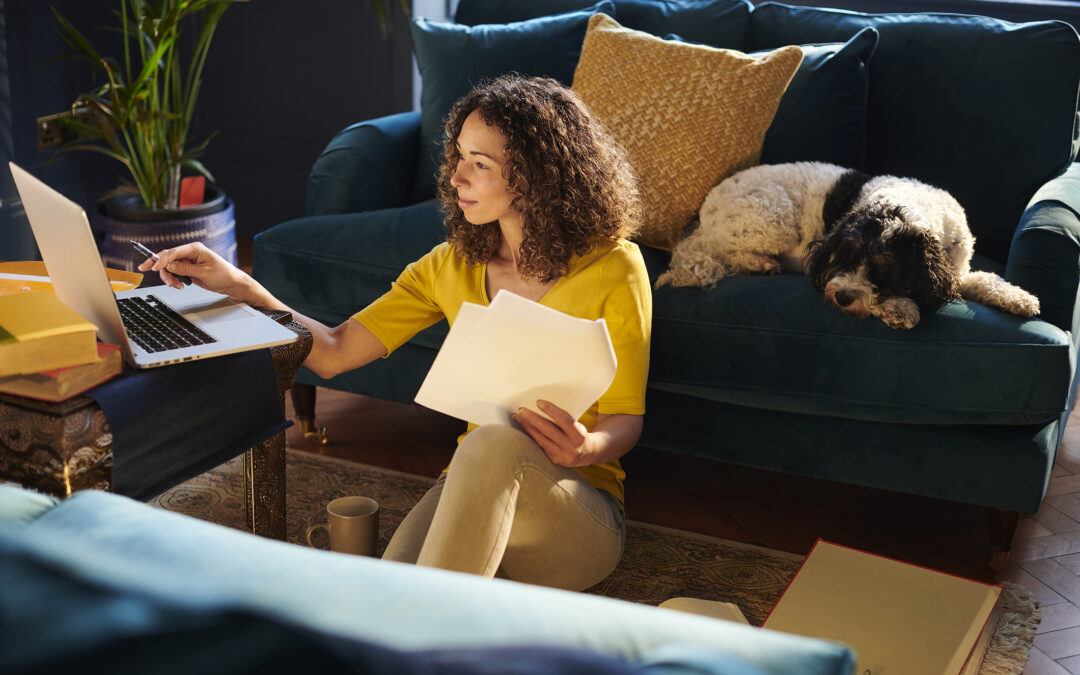 Lemonade Vs. Spot Pet Insurance