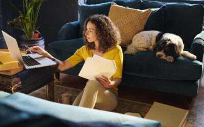 Lemonade Vs. Spot Pet Insurance